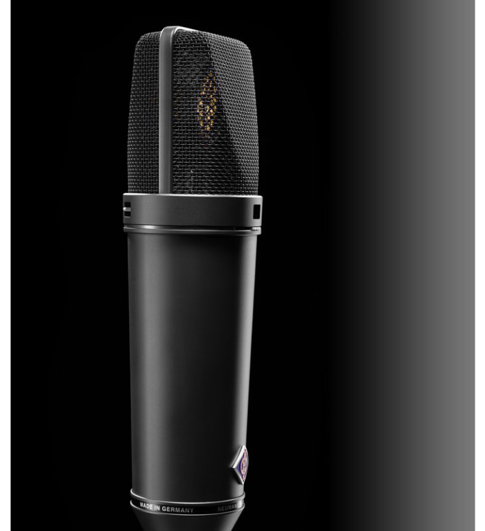 Neumann U 87 Ai Studio Microphone